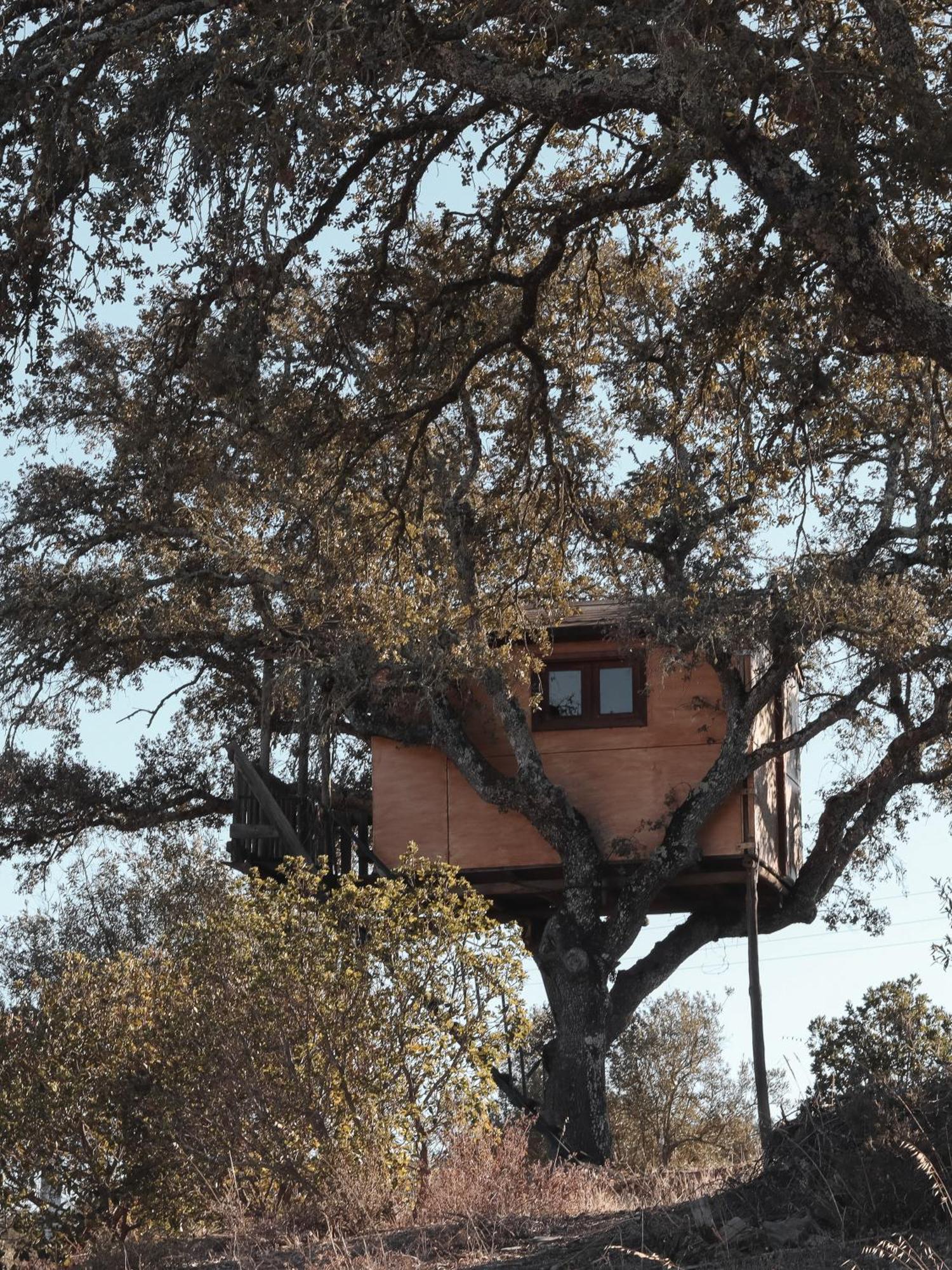 Corvatos Casas Do Monte Villa Almodôvar Dış mekan fotoğraf